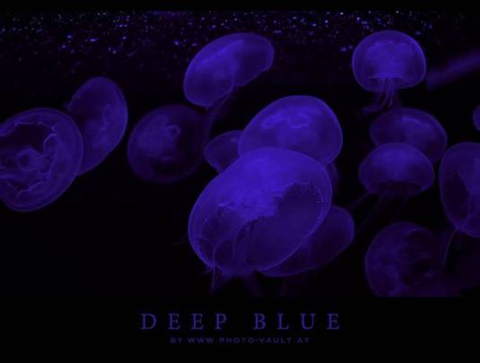Waterworld-Deep Blue-000
